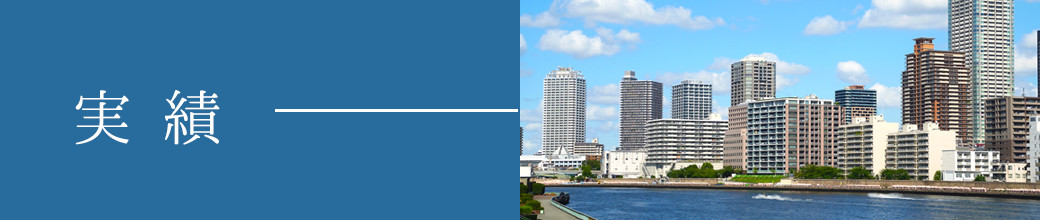 実績